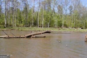 Pond on 48.52 acres for sale in Hillsboro GA at 852 Union Hill Church Road